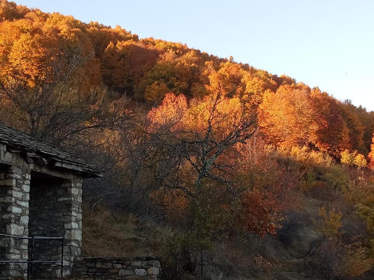 Guesthouse Kontogianni - Materka Nimfaíon Esterno foto